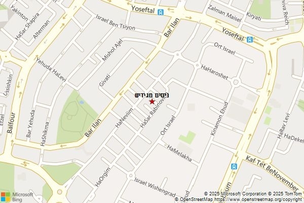ניסים מגידיש