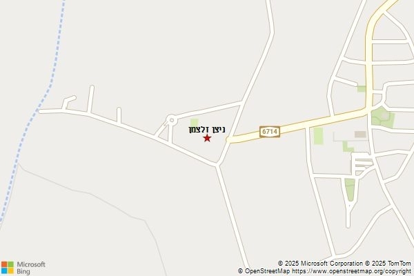 ניצן זלצמן