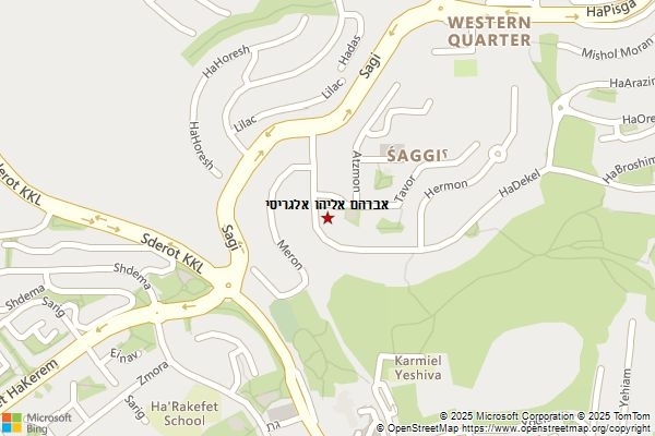 אברהם אליהו אלגריסי