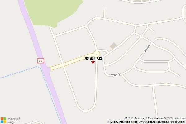 צבי גמליאל