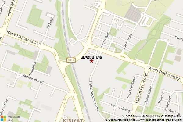 אילן שמאילוב
