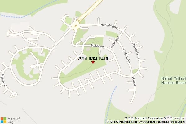מדביר באלון הגליל