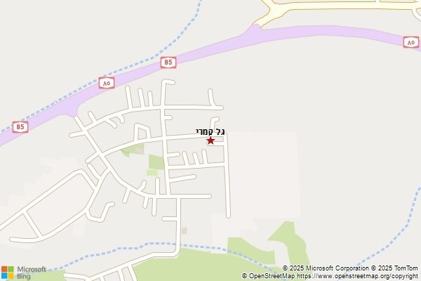 גל קמרי