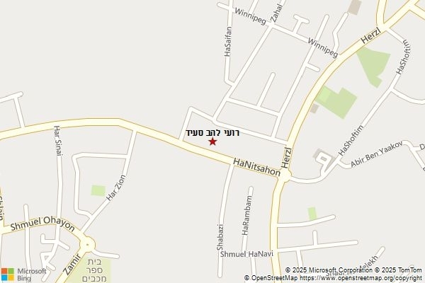 רועי להב סעיד