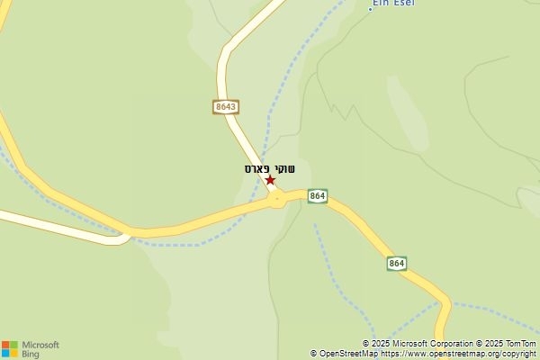 שוקי פארס
