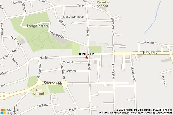יואל ווירט