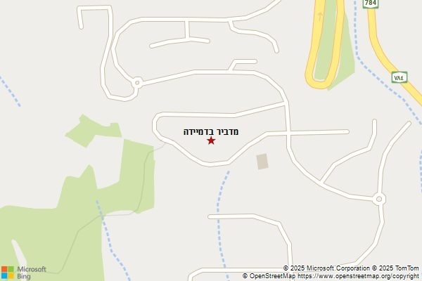 מדביר בדמיידה