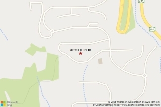 מדביר בדמיידה - מדביר בדמיידה