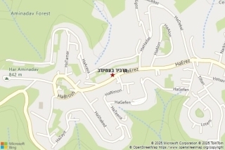 מדביר בעמינדב - מדביר בעמינדב