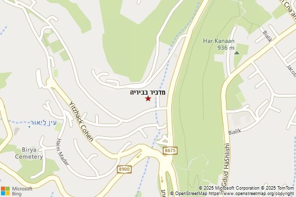 מדביר בביריה