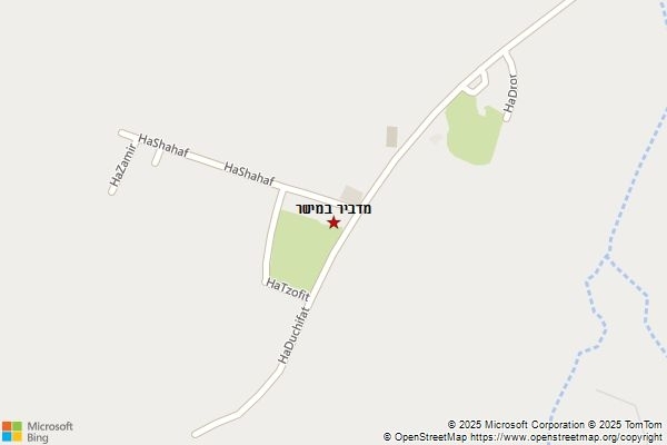מדביר במישר