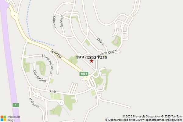 מדביר במצפה יריחו