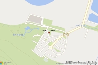 מדביר בגדעונה