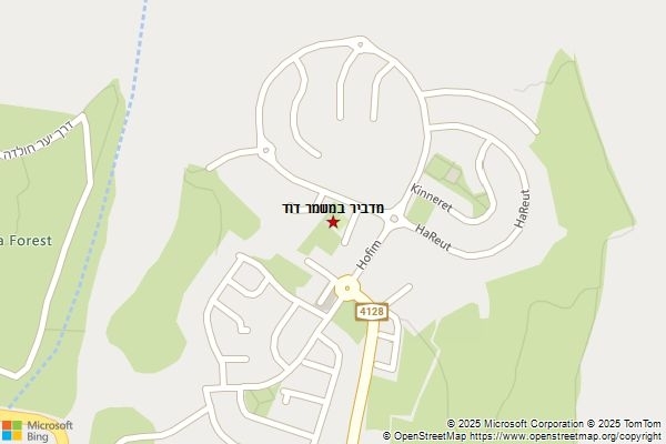 מדביר במשמר דוד