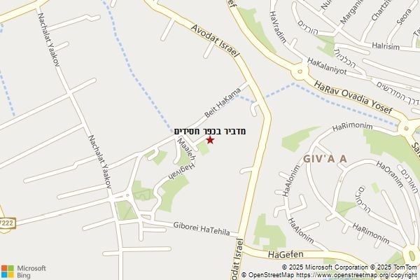 מדביר בכפר חסידים