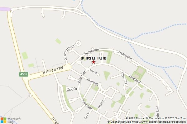 מדביר ברפיח ים