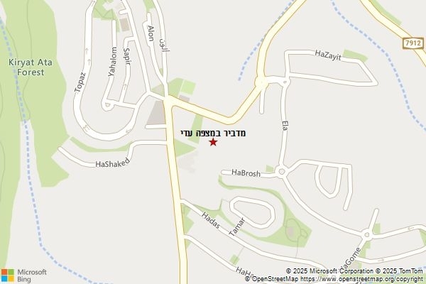 מדביר במצפה עדי
