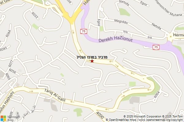 מדביר במרכז הגליל