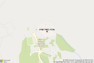 מדביר במאיר שפיה