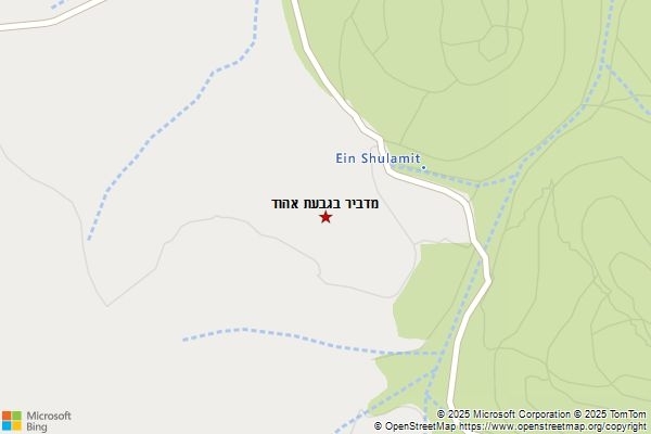 מדביר בגבעת אהוד