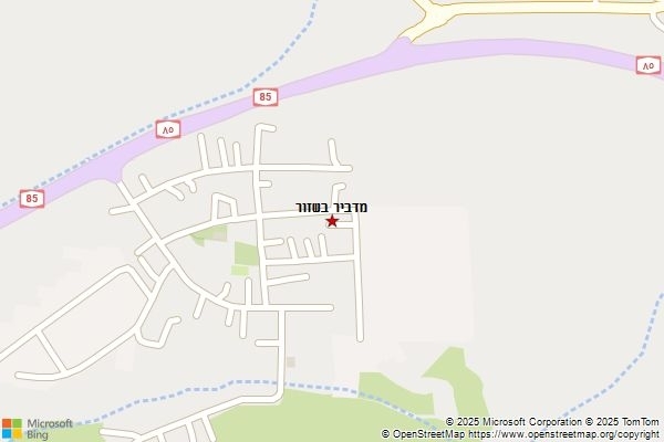 מדביר בשזור