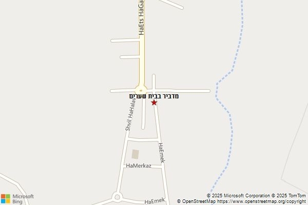 מדביר בבית שערים