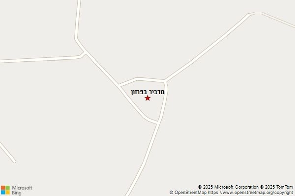 מדביר בפרזון