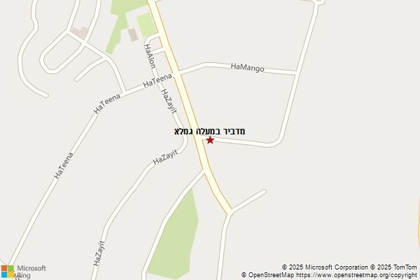 מדביר במעלה גמלא