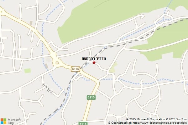 מדביר בברטעה