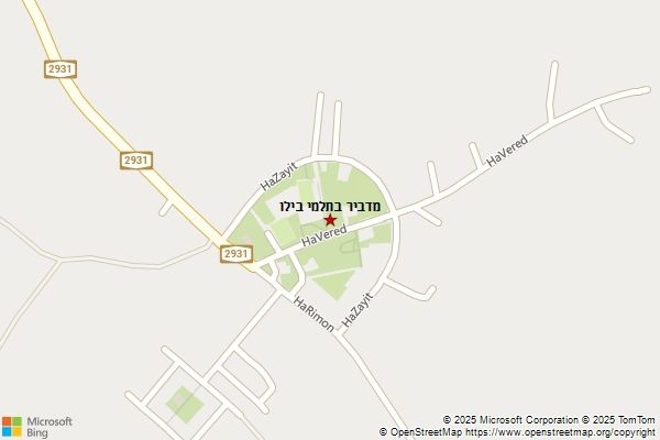 מדביר בתלמי בילו