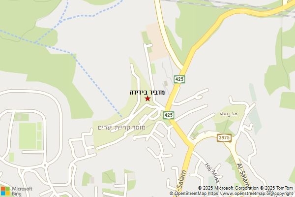 מדביר בידידה