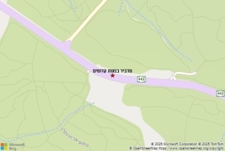 מדביר בנאות קדומים - מדביר בנאות קדומים