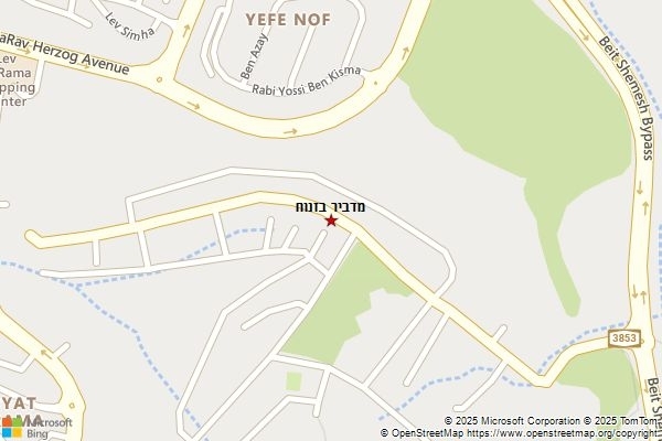 מדביר בזנוח
