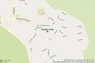 מדביר בקורנית - מדביר בקורנית