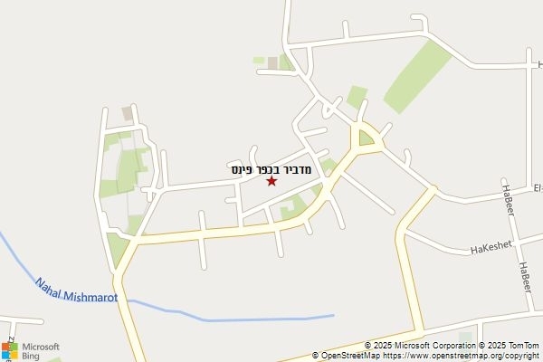 מדביר בכפר פינס