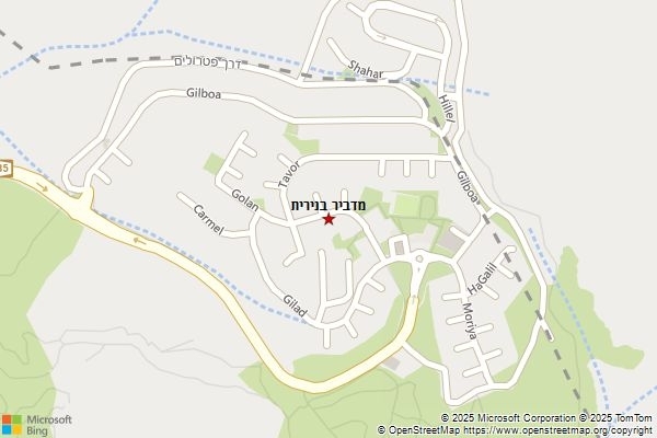 מדביר בנירית