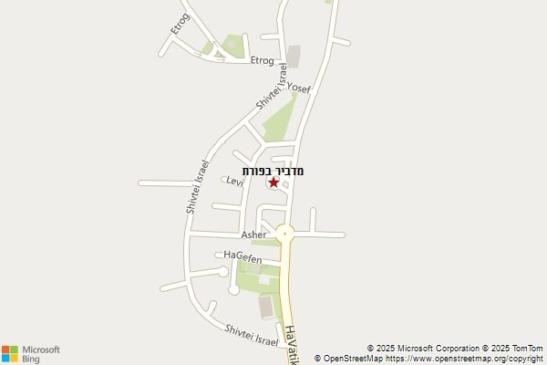 מדביר בפורת