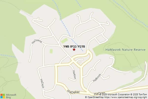 מדביר בבית מאיר