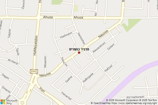 מדביר בנעורים