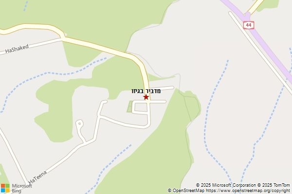 מדביר בגיזו