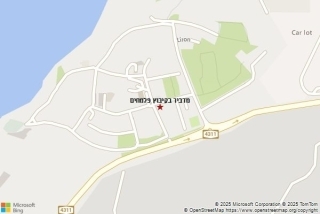 מדביר בקיבוץ פלמחים - מדביר בקיבוץ פלמחים
