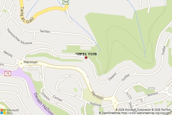 מדביר בציפורי