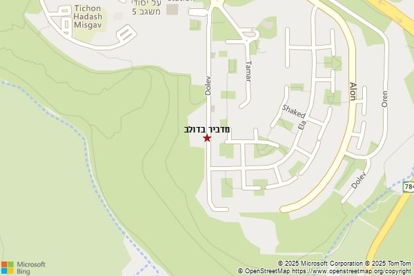 מדביר בדולב