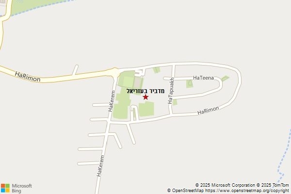 מדביר בעזריאל