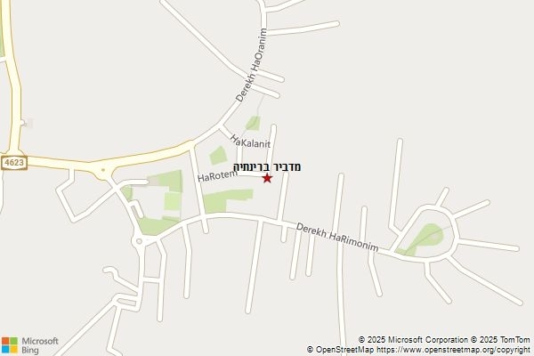 מדביר ברינתיה