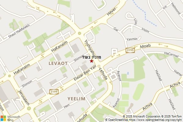 מדביר בערד