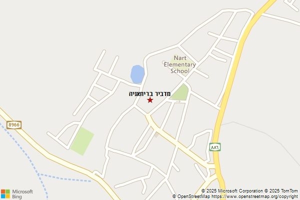 מדביר בריחאניה