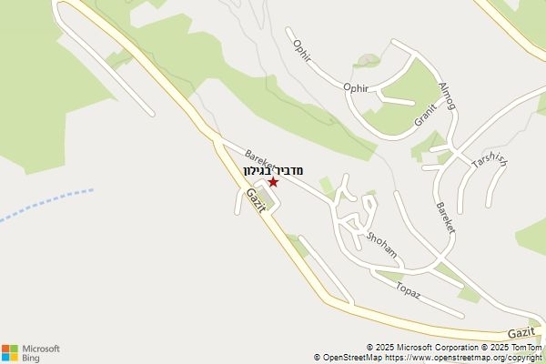 מדביר בגילון
