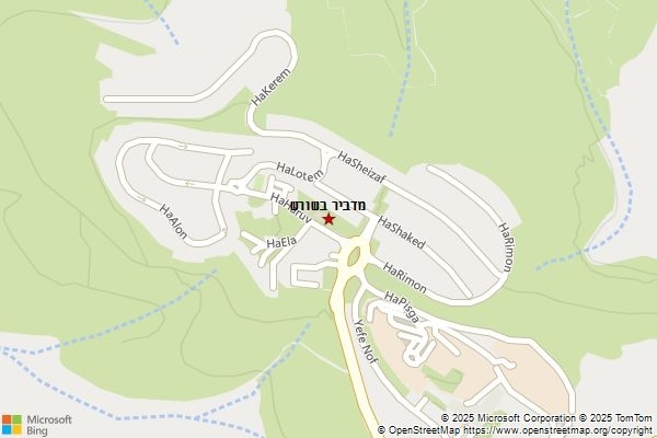 מדביר בשורש